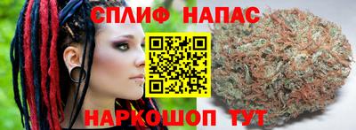 сатива Славянск-на-Кубани