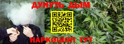 ешки Славгород