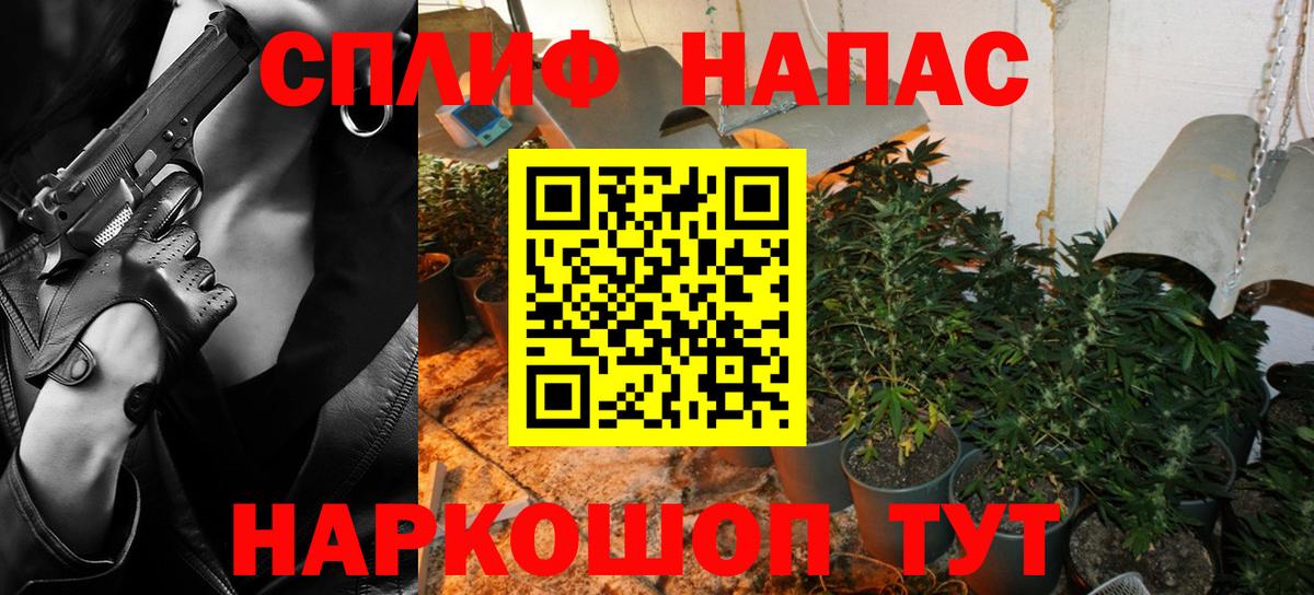 Конопля ГИДРОПОН  Канабис планчик  Вход с VPN  Канабис план  Прокопьевск  Шишки марихуана SATIVA & INDICA 